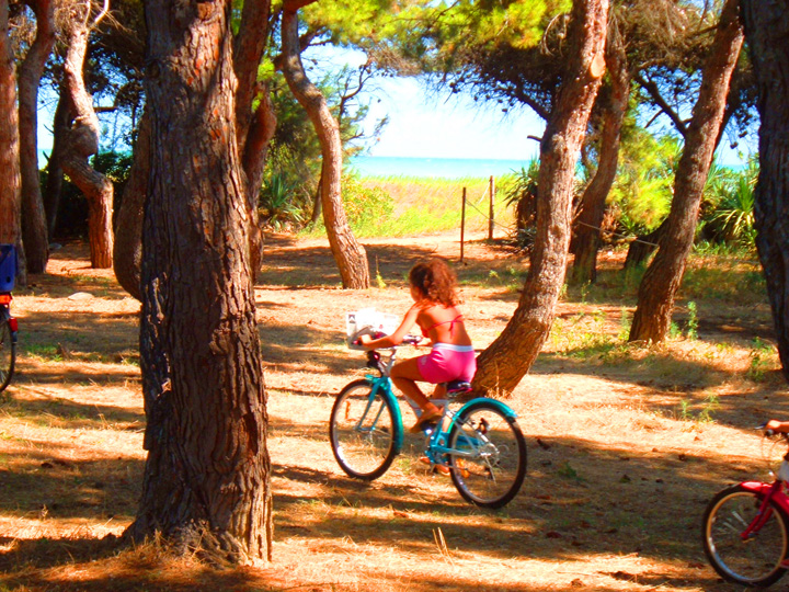 Appartamento a Pineto Residence I Gabbiani nella?Area Marina Protetta Torre del Cerrano