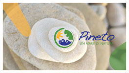 Brochure Pineto